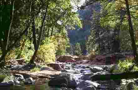 Wildnerness in the White Mountains Area